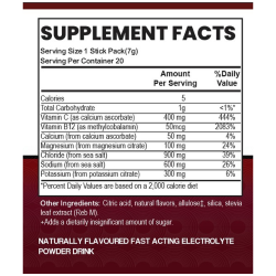 Sandstorm Sport Hydration – Palmetto Peach - Sugar Free Electrolyte Drink Mix | 20 Stick Packs