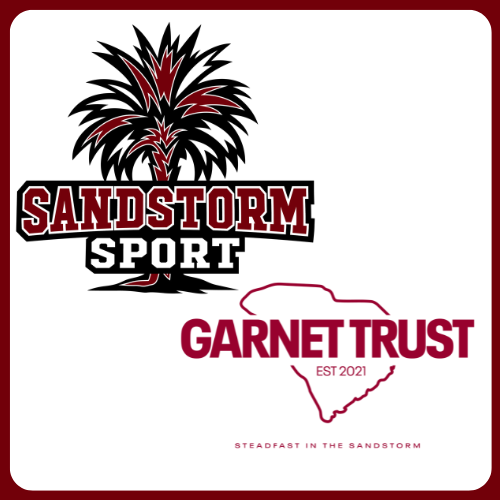 Sandstorm Sport - Berry Punch - Sugar Free Electrolyte Drink Mix | 10 Stick Packs