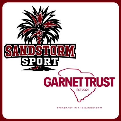 Sandstorm Sport - Berry Punch - Sugar Free Electrolyte Drink Mix | 10 Stick Packs